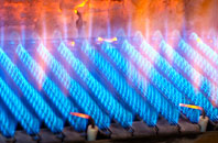 Bogton gas fired boilers